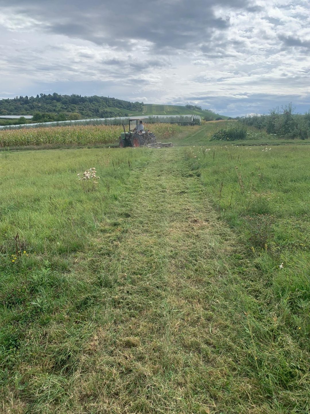 Streckenvorbereitung Richtung Maisfeld
