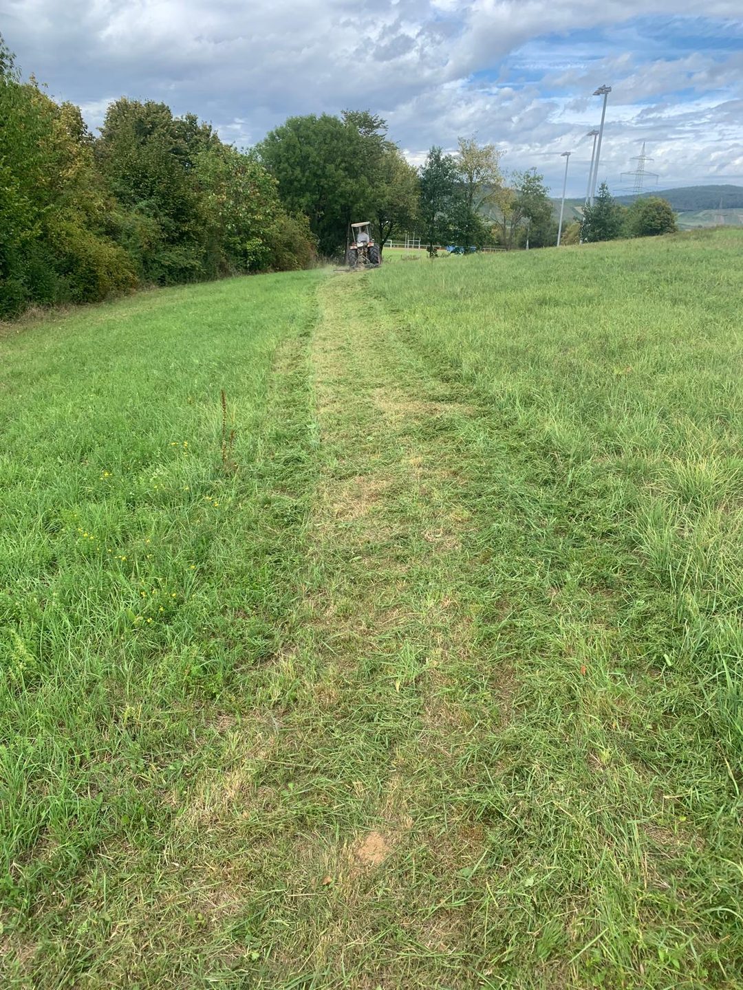 Frisch gemaehter Streckenabschnitt Richtung Feldweg