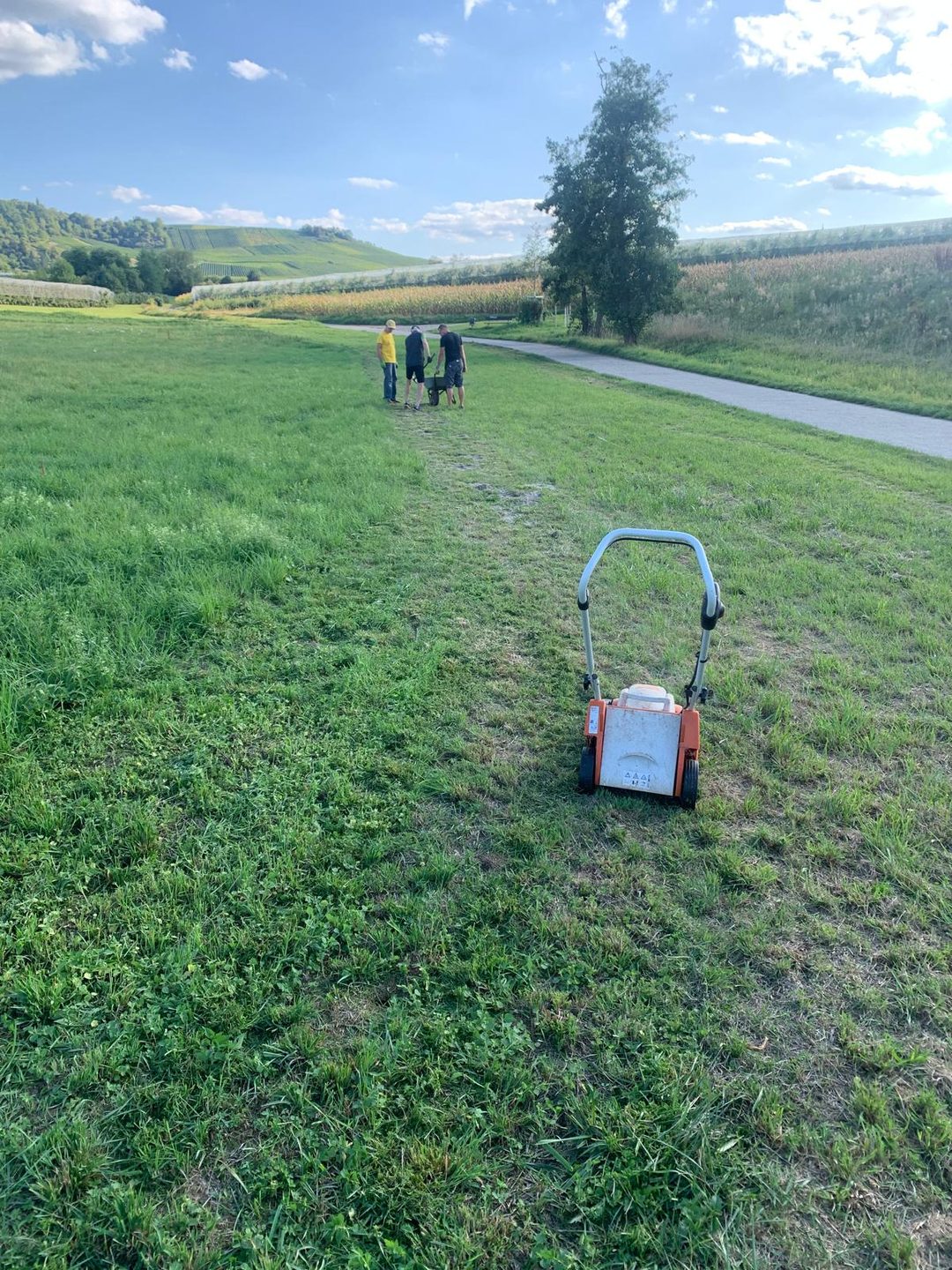 Rasenwalze im Einsatz